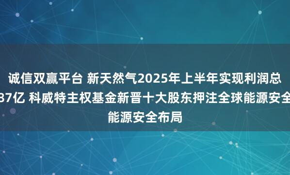 诚信双赢平台 新天然气2025年上半年实现利润总额8.87亿 科威特主权基金新晋十大股东押注全球能源安全布局